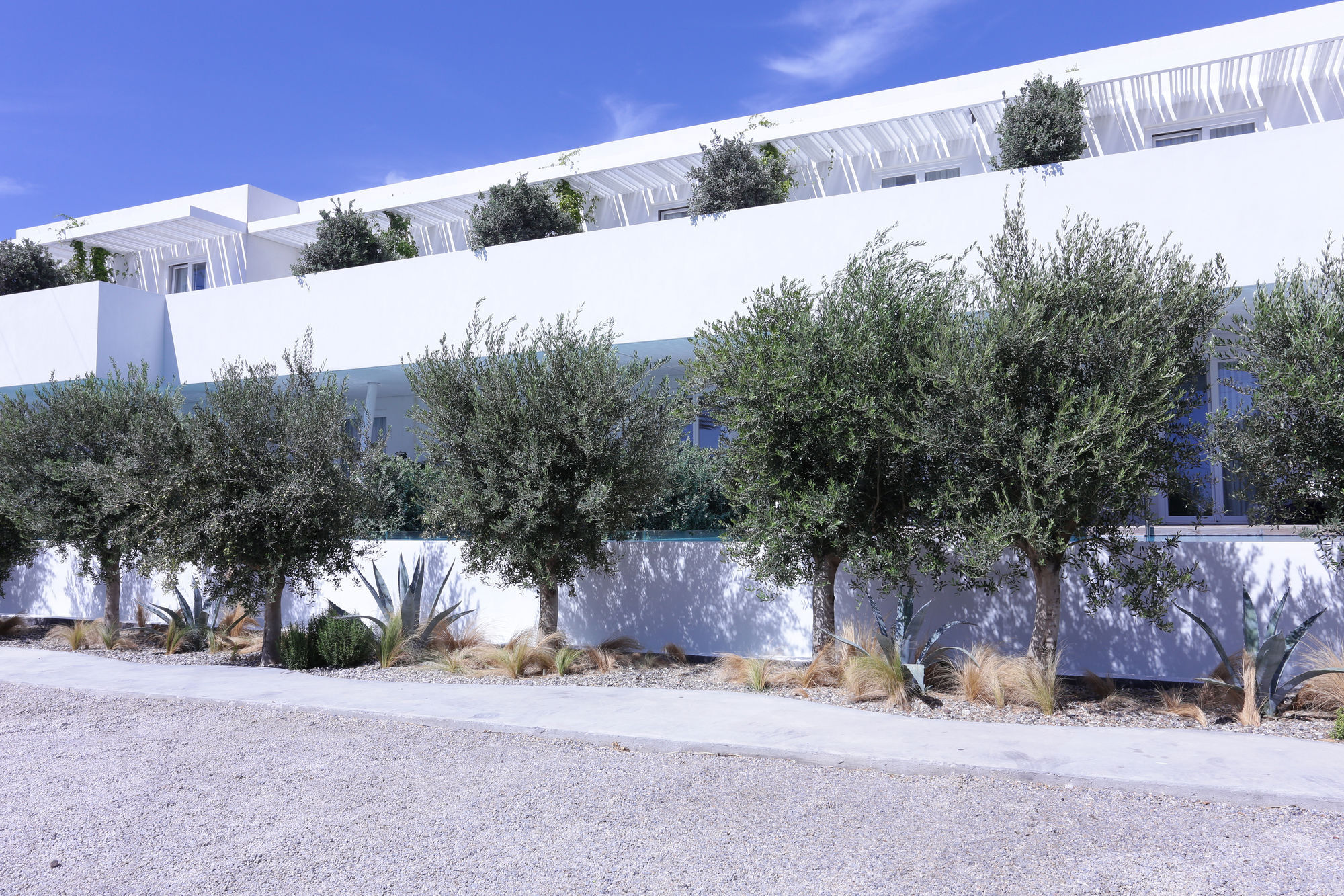 Mykonos Dove Beachfront Hotel Platys Gialos  Ngoại thất bức ảnh